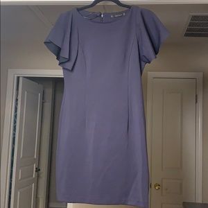 Zara Ruffle Sleeve Dress